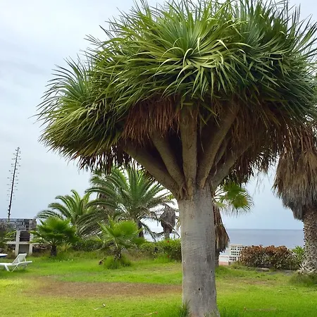 Edificio Bayana アパート Puerto De Naos